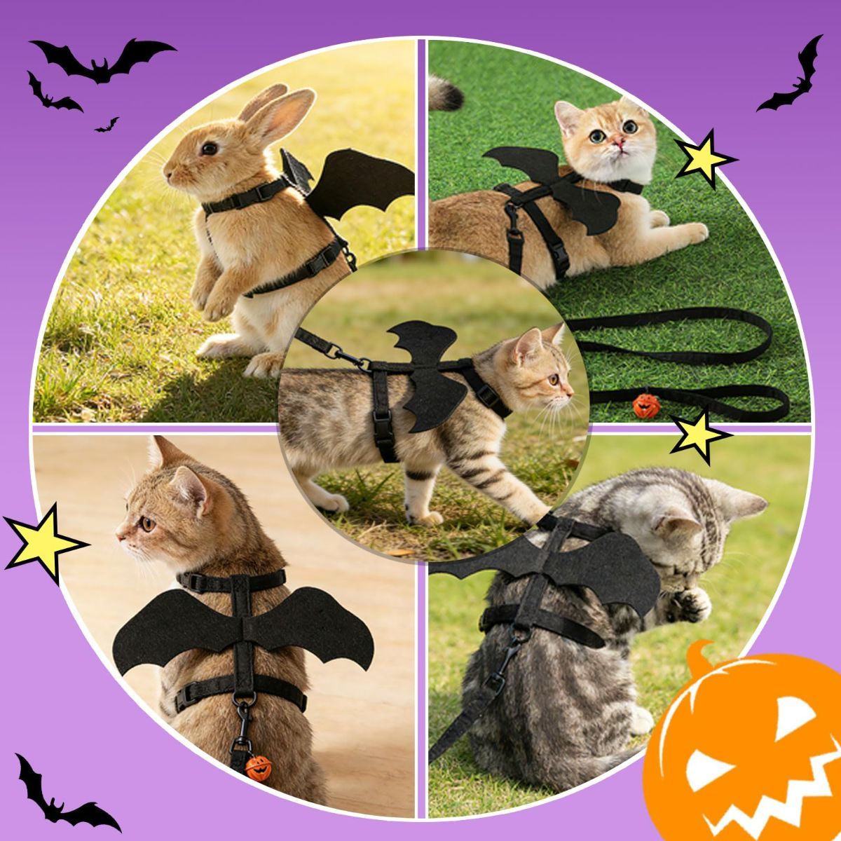 Cat Harness and Leash with Bat Wings, Escape Proof Leash | Halloween Costumes, Thickened Polyester Fabric, Lightweight Felt, Adjustable Vest, Easy Control, for Small Dogs Cats Rabbits - Black - Size M