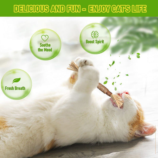 5 Cat Chew Sticks Cat Toys Cat Dental Care Natural Cat Toys Kitten Teething Toys