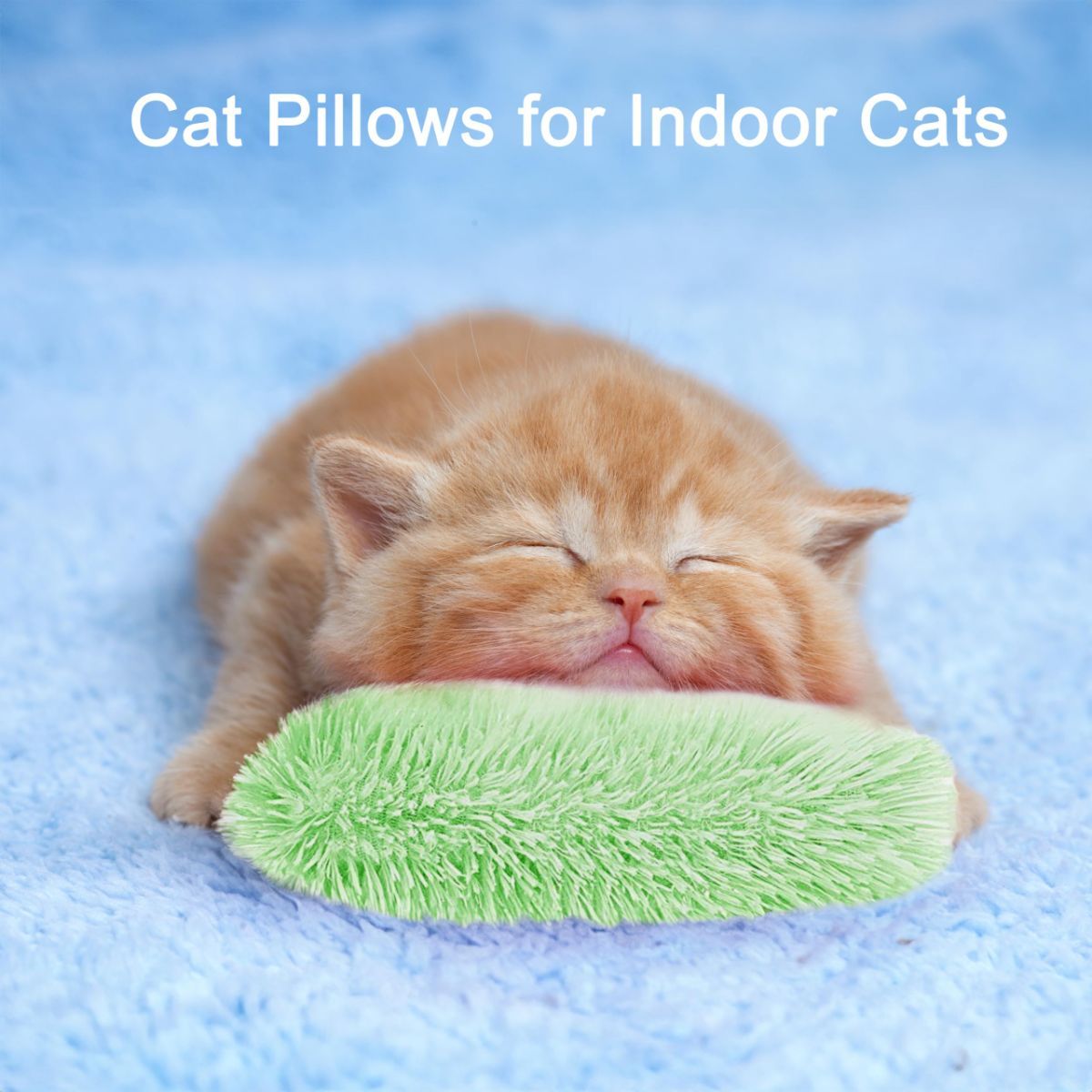 3-Piece Cat Toys Interactive Cat Toys Cat Pillow Toys Catnip Toys Indoor Cat Toys Soft