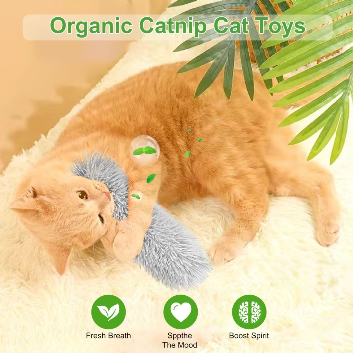 3-Piece Cat Toys Interactive Cat Toys Cat Pillow Toys Catnip Toys Indoor Cat Toys Soft
