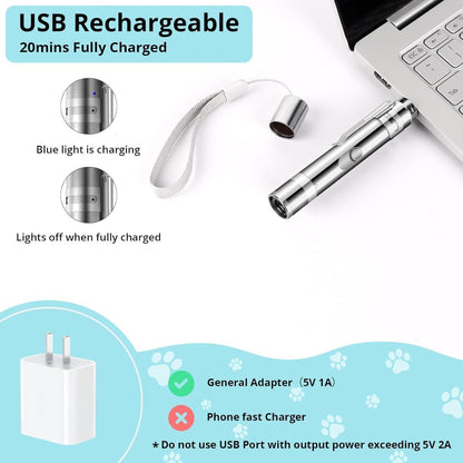 Indoor Cat Toy USB Rechargeable Cat Toy 7 Mode Cat Toy Cat And Dog Interactive