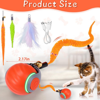 Interactive Cat Toy Cat Ball Toy Feather Worm Toy Cat Toy With Bells Australian