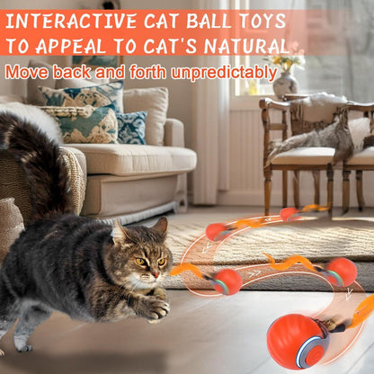 Interactive Cat Toy Cat Ball Toy Feather Worm Toy Cat Toy With Bells Australian