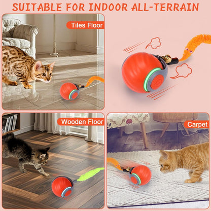 Interactive Cat Toy Cat Ball Toy Feather Worm Toy Cat Toy With Bells Australian