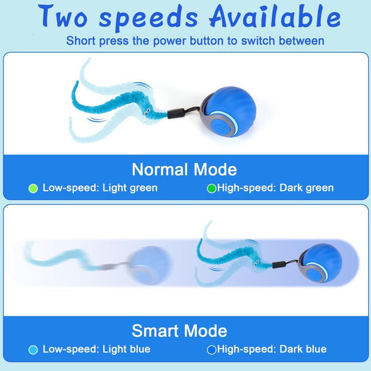 Interactive Cat Toy Cat Ball Toy Feather Worm Toy Cat Toy With Bells Australian