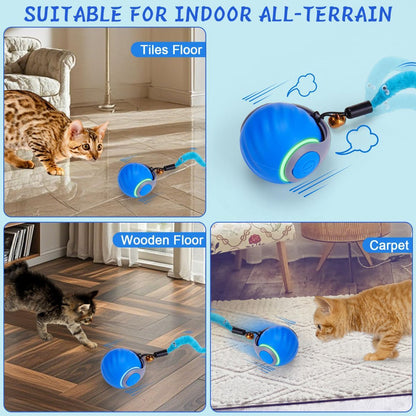 Interactive Cat Toy Cat Ball Toy Feather Worm Toy Cat Toy With Bells Australian
