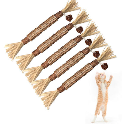 5 Cat Chew Sticks Cat Toys Cat Dental Care Natural Cat Toys Kitten Teething Toys