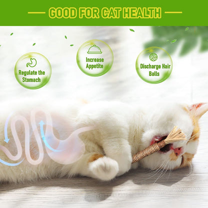 5 Cat Chew Sticks Cat Toys Cat Dental Care Natural Cat Toys Kitten Teething Toys