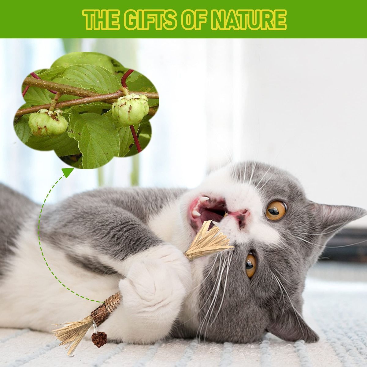 5 Cat Chew Sticks Cat Toys Cat Dental Care Natural Cat Toys Kitten Teething Toys