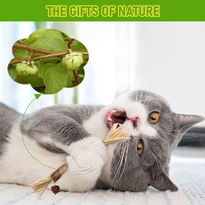 5 Cat Chew Sticks Cat Toys Cat Dental Care Natural Cat Toys Kitten Teething Toys