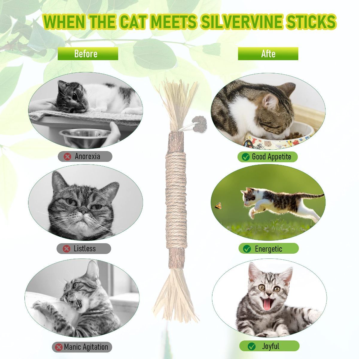 5 Cat Chew Sticks Cat Toys Cat Dental Care Natural Cat Toys Kitten Teething Toys