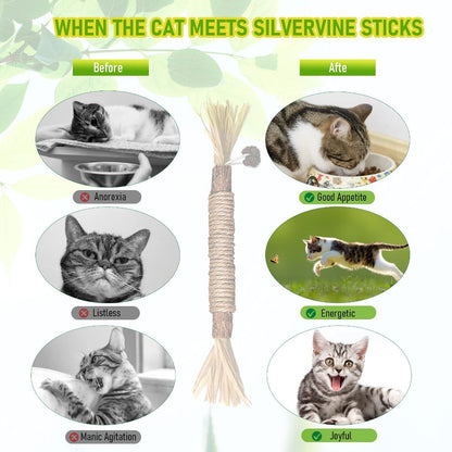 5 Cat Chew Sticks Cat Toys Cat Dental Care Natural Cat Toys Kitten Teething Toys