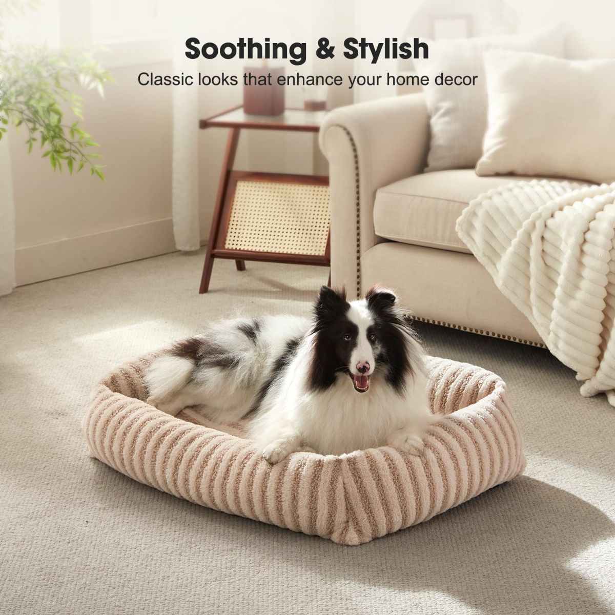 Cosy Dog Bed - Teddy Fabric - Cream
