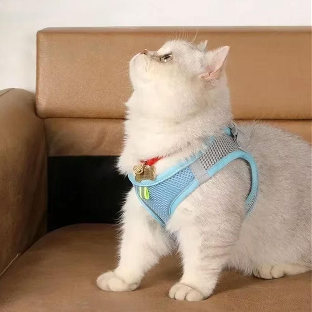 Pet Cat Harness and Leash Set Reflective Strip - Blue