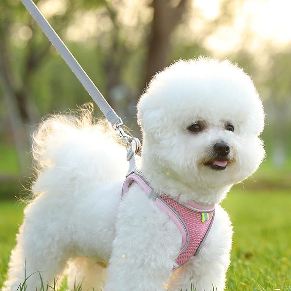 Pet Cat Harness and Leash Set Reflective Strip - Pink