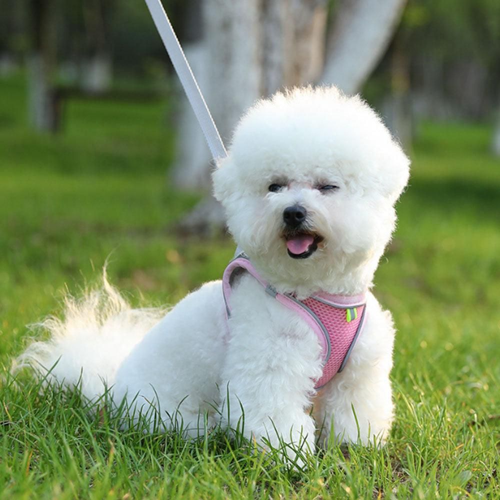 Pet Cat Harness and Leash Set Reflective Strip - Pink