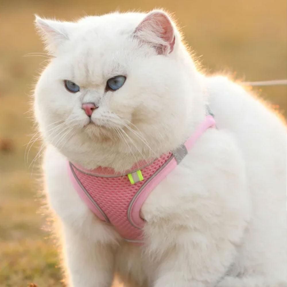 Pet Cat Harness and Leash Set Reflective Strip - Pink