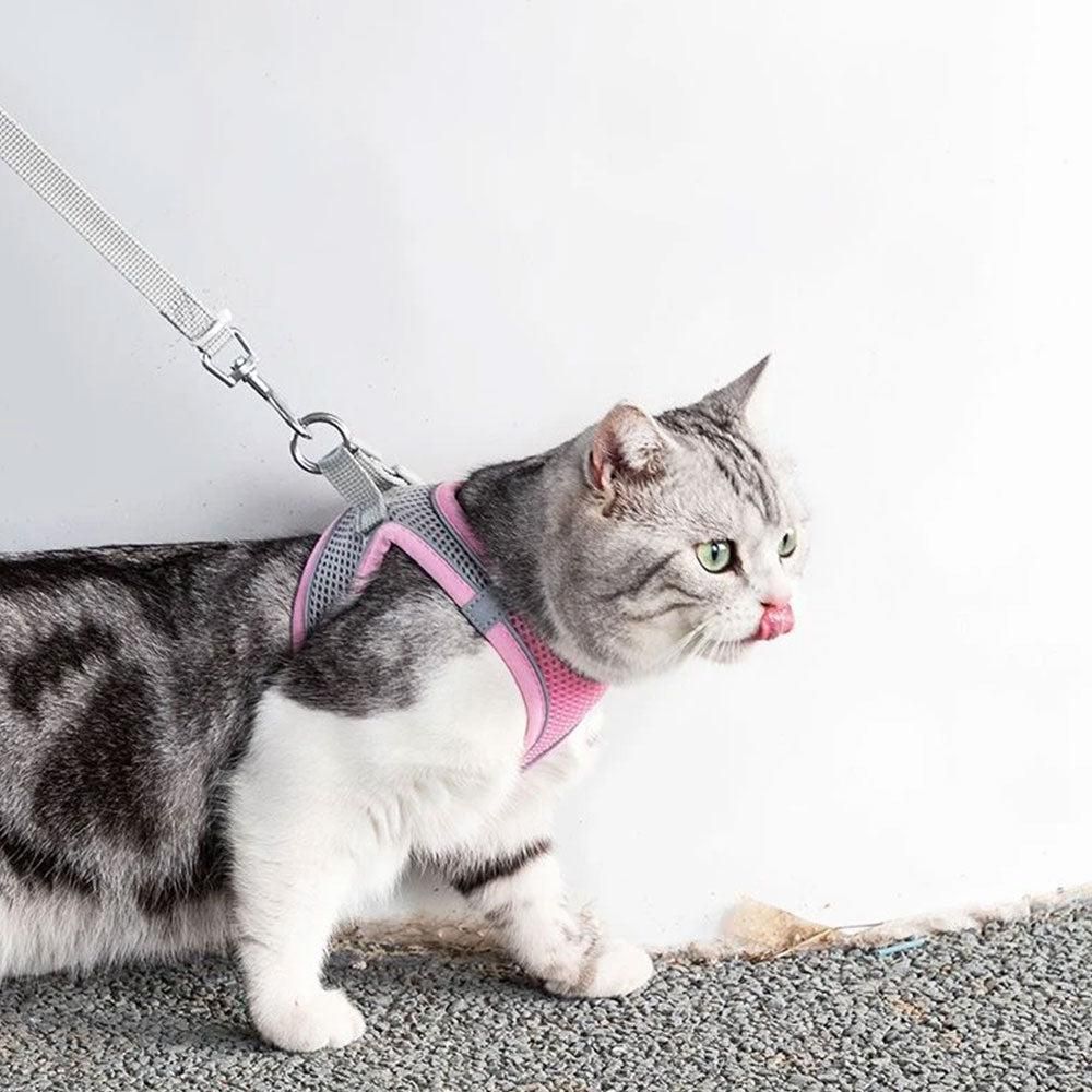 Pet Cat Harness and Leash Set Reflective Strip - Pink