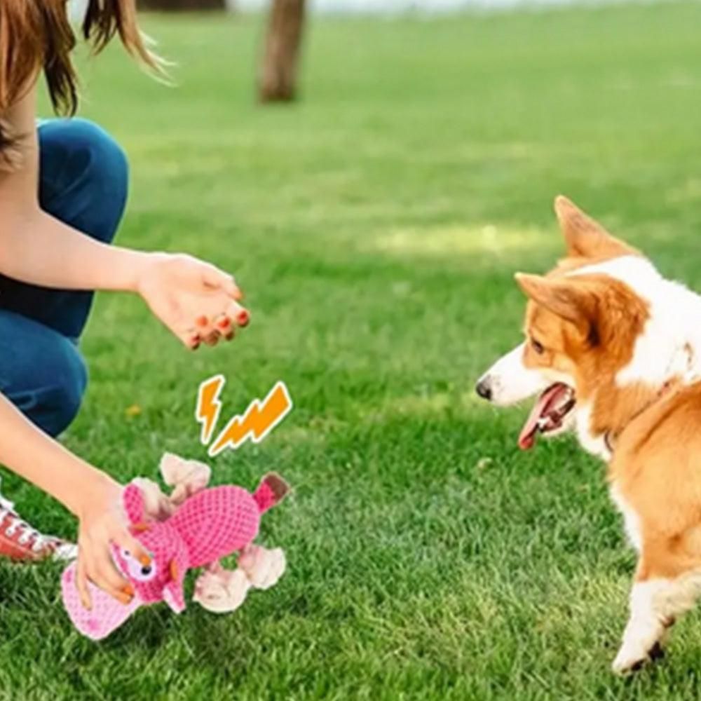 Dog Toys for Aggressive Chewers - Squeaky Toys to Keep Dogs Busy Style 2
