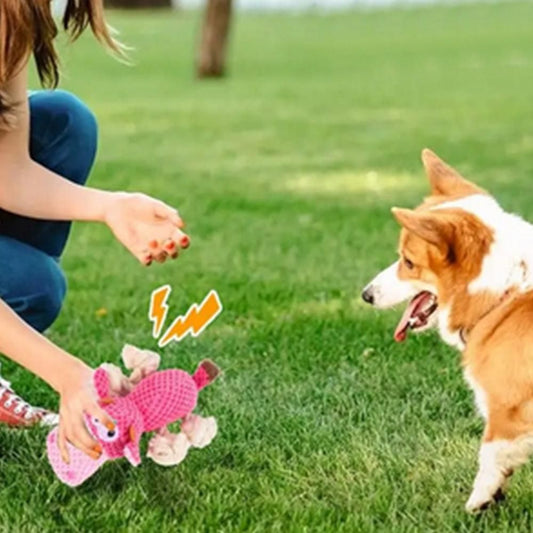 Dog Toys for Aggressive Chewers - Squeaky Toys to Keep Dogs Busy Style 2