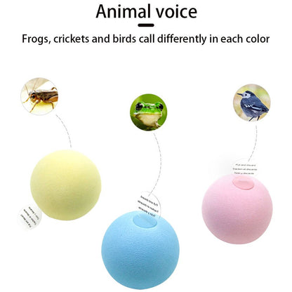 3PCS Cat Ball Toy Interactive Cat Toy Cat Catnip Toys for Cat Exercise Stimulates Cat Instinct to Hunt