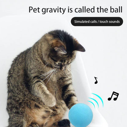 3PCS Cat Ball Toy Interactive Cat Toy Cat Catnip Toys for Cat Exercise Stimulates Cat Instinct to Hunt