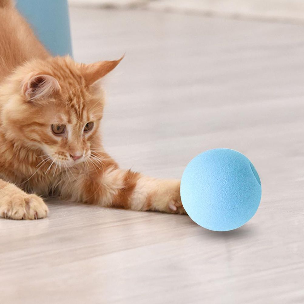 3PCS Cat Ball Toy Interactive Cat Toy Cat Catnip Toys for Cat Exercise Stimulates Cat Instinct to Hunt