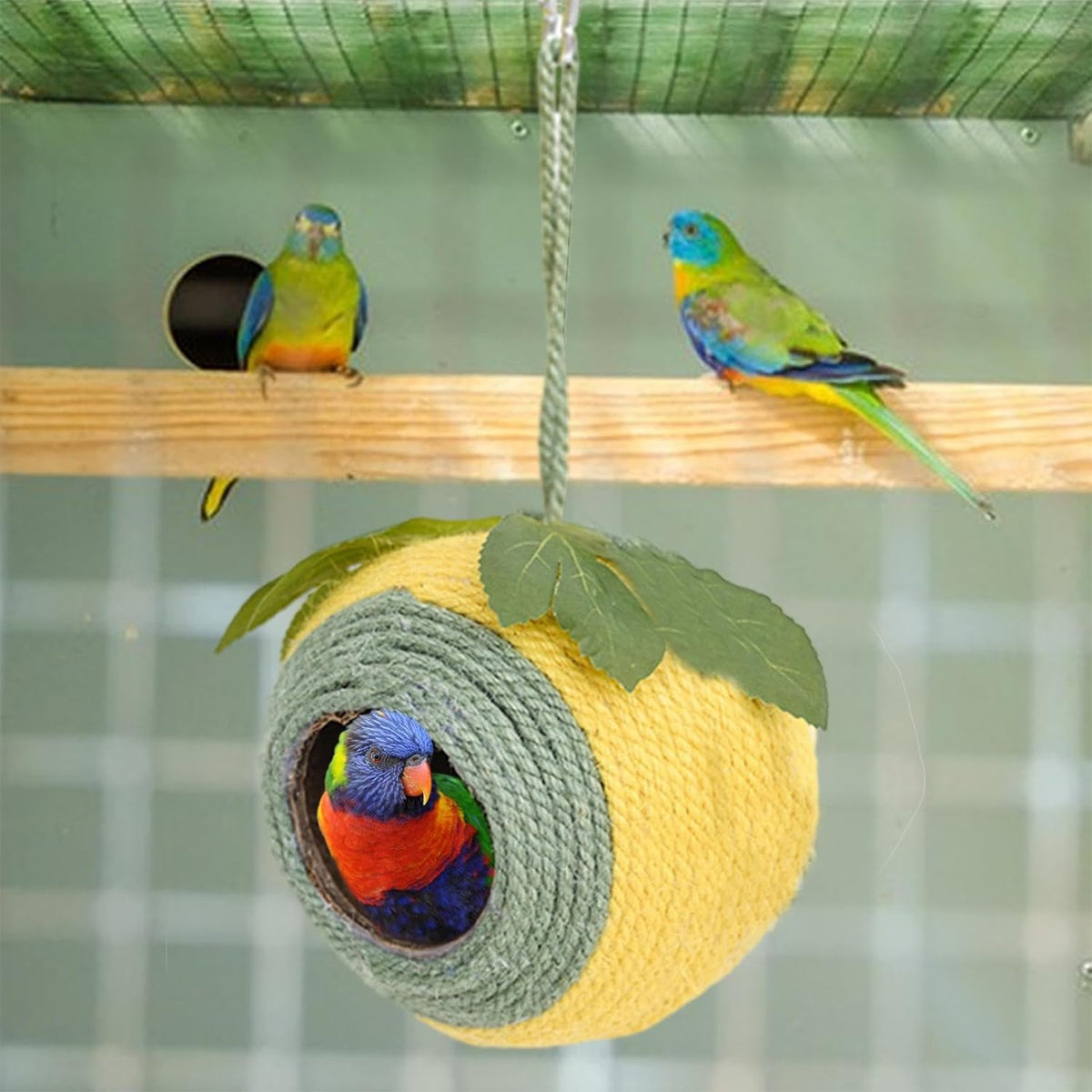 Bird Nest - Braided Twine - White-Green