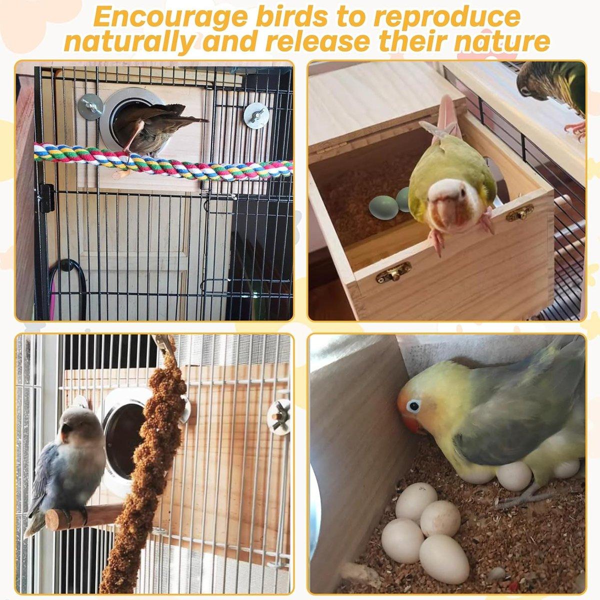 Natural Wooden - Breeding Box