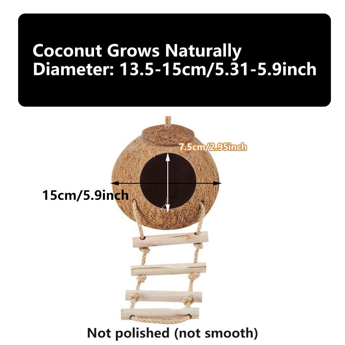 Bird Coconut Nest with Stairs - Small Birds