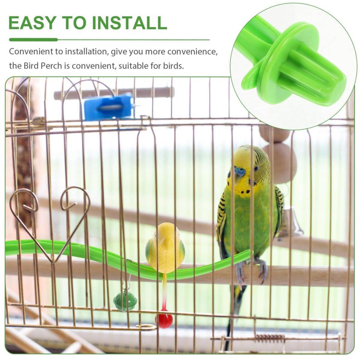 Parrot and Bell Bird Toy