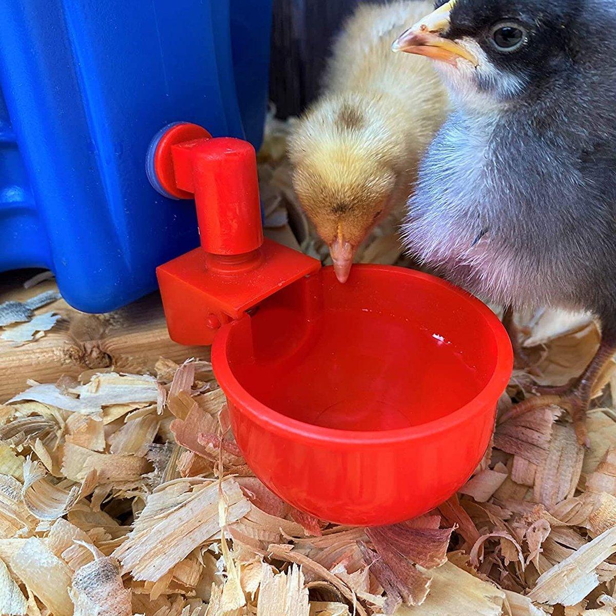 6x Automatic Chicken Water Cup Waterer Poultry Drinking Bowl Feeder Drinker Tool