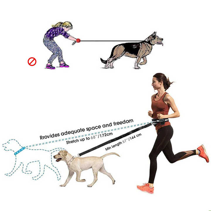 Reflective Pet Waist Bag with Hands-Free Leash for Night Safety - Adjustable Waist Pack with Detachable Pouches