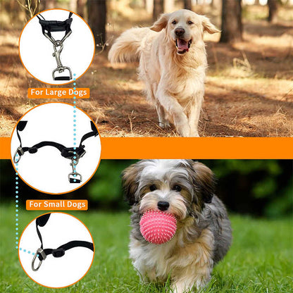Reflective Pet Waist Bag with Hands-Free Leash for Night Safety - Adjustable Waist Pack with Detachable Pouches