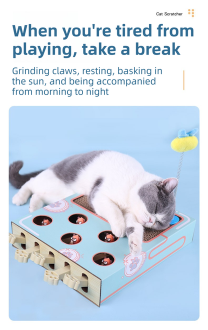 3-in-1 Whack-A-Mole Cat Toy & Scratching Lounge - Spring Swivel Toy, Interactive Puzzle Box and Multi-Functional Cat Scratcher