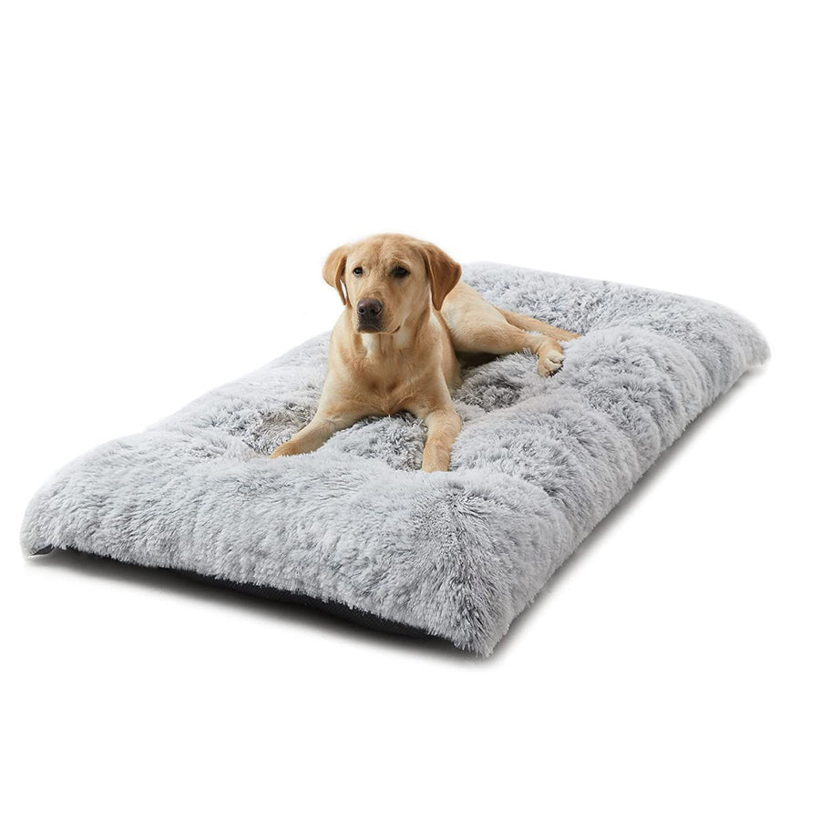 Orthopedic Long Dog Bed - Grey