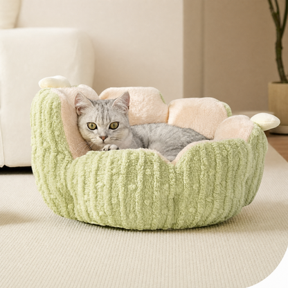 Cactus Cat Bed for Cats or Small Dogs - Green - Size 60cm